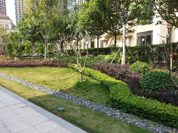 小區(qū)綠化養(yǎng)護(hù)