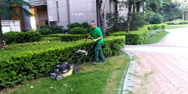綠化養(yǎng)護(hù)