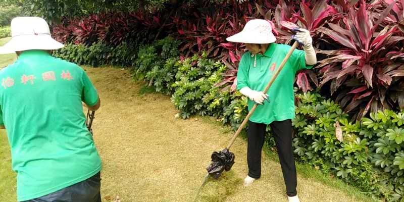 工廠綠化養(yǎng)護(hù)