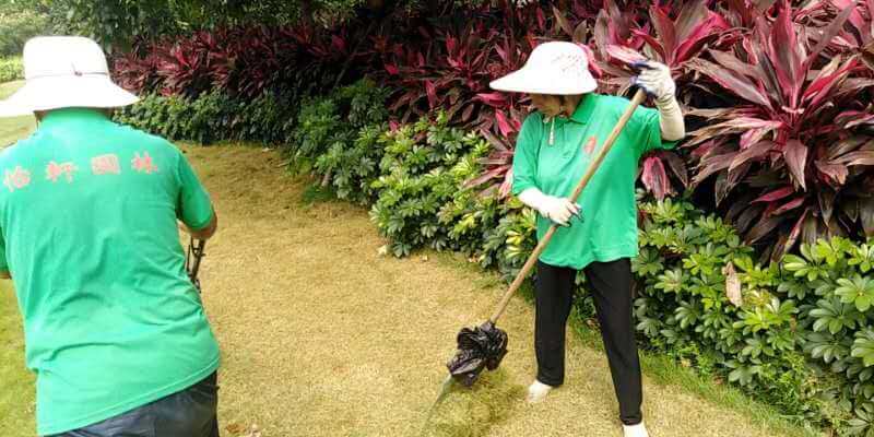 綠化養(yǎng)護(hù)除草