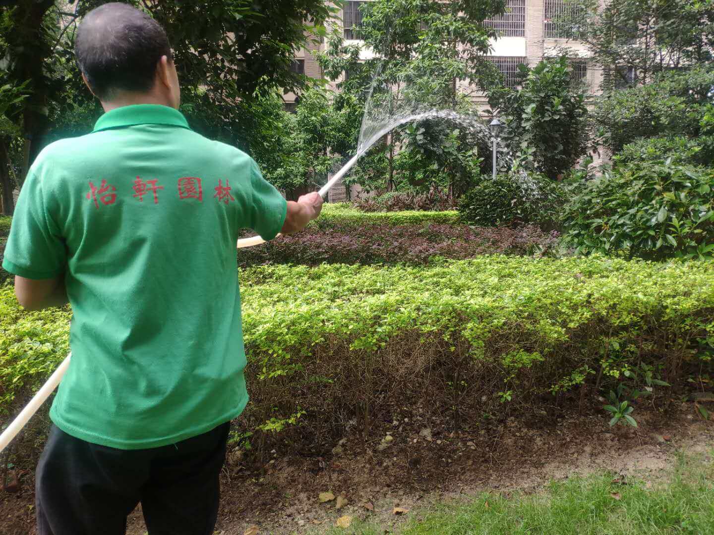 綠化養(yǎng)護(hù)澆灌