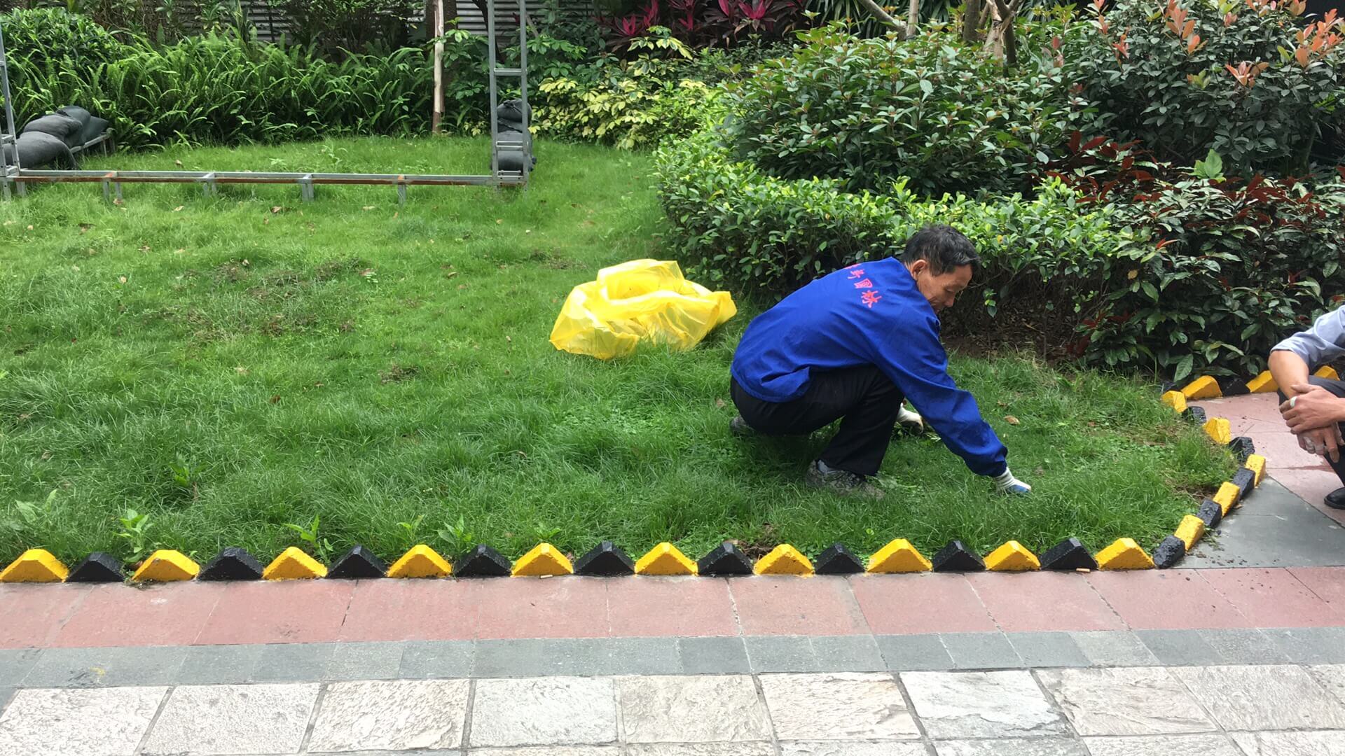 綠化養(yǎng)護(hù)草坪養(yǎng)護(hù)