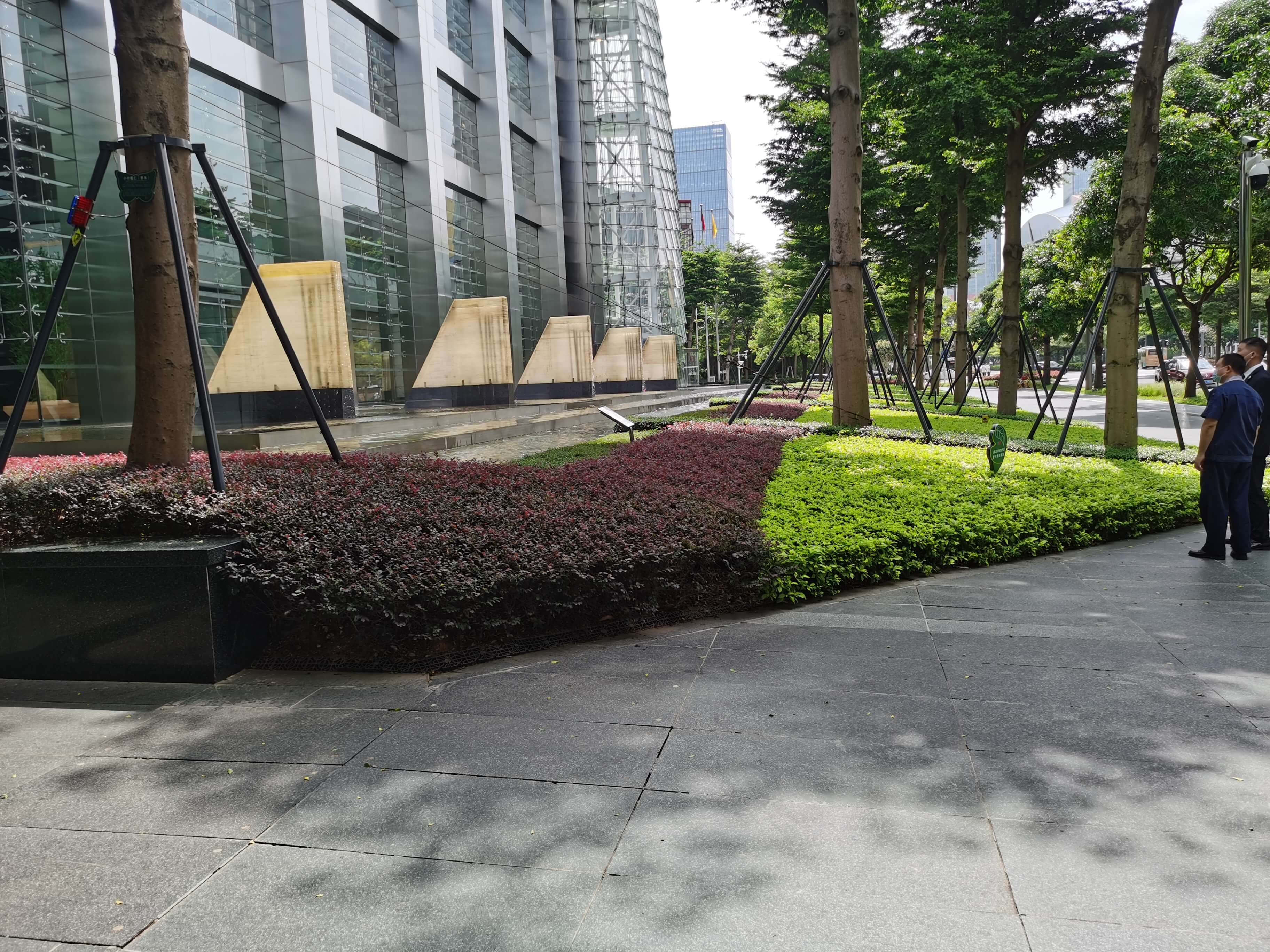 綠化養(yǎng)護(hù)