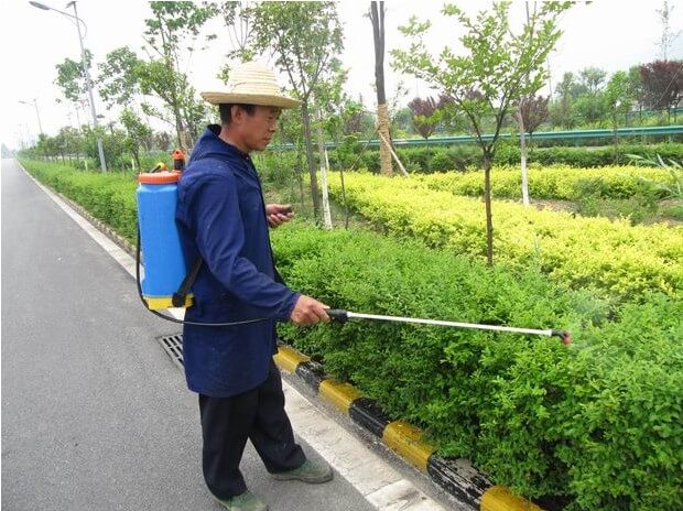綠化維護(hù) 綠化維護(hù)