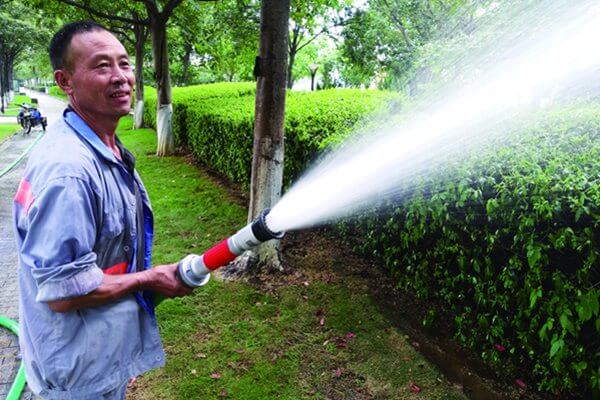 綠化養(yǎng)護