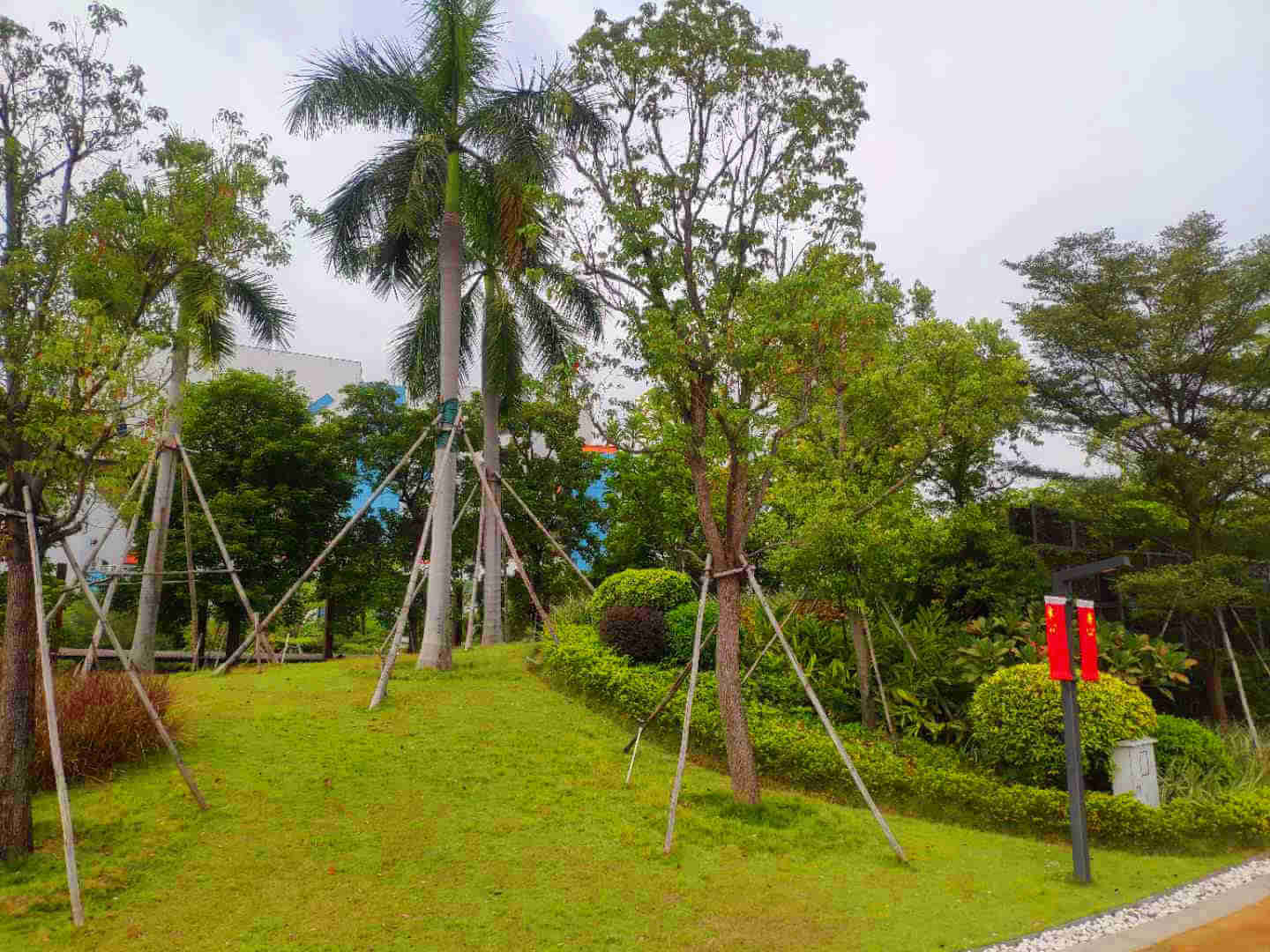 綠化維護(hù)