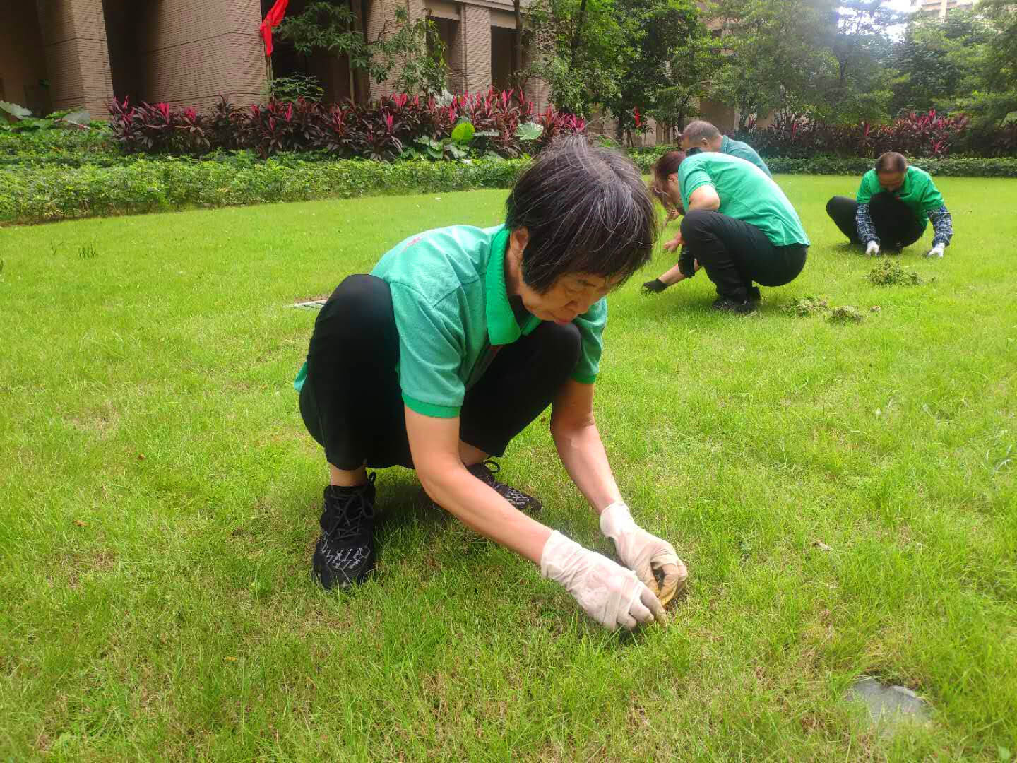 綠化維護(hù)