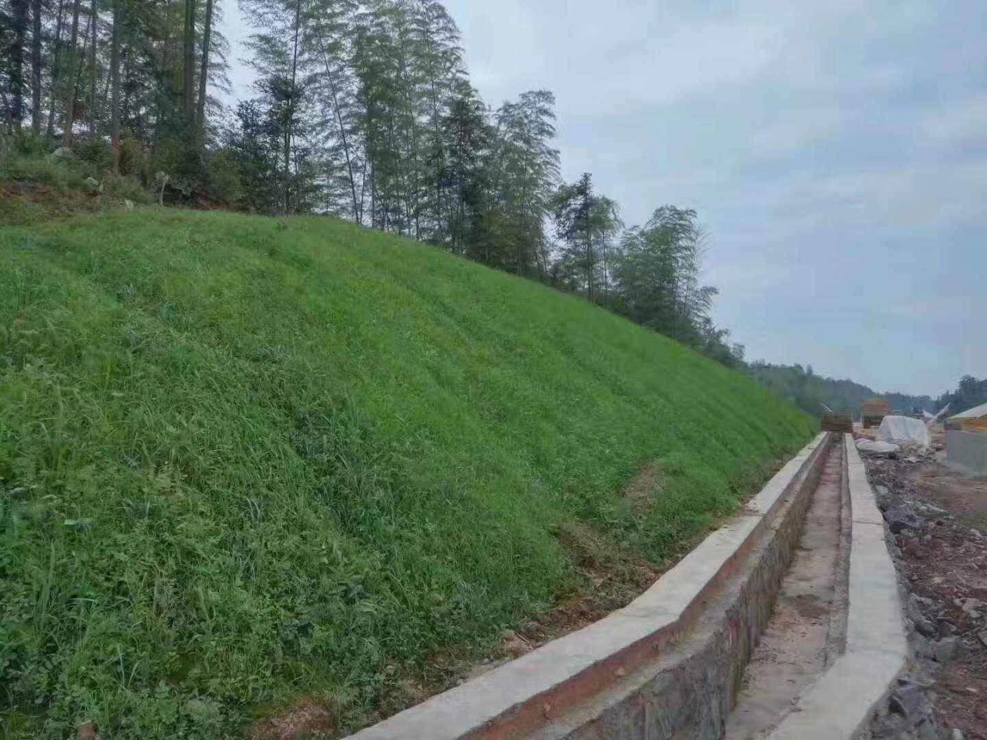 綠化養(yǎng)護