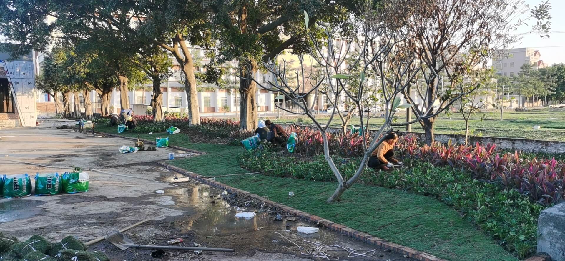 科學(xué)園園林綠化工程