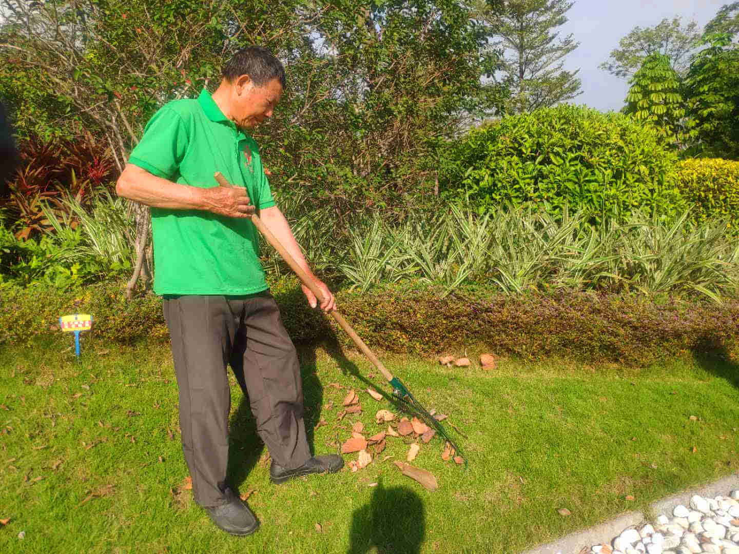 小區(qū)綠化養(yǎng)護枯葉清理