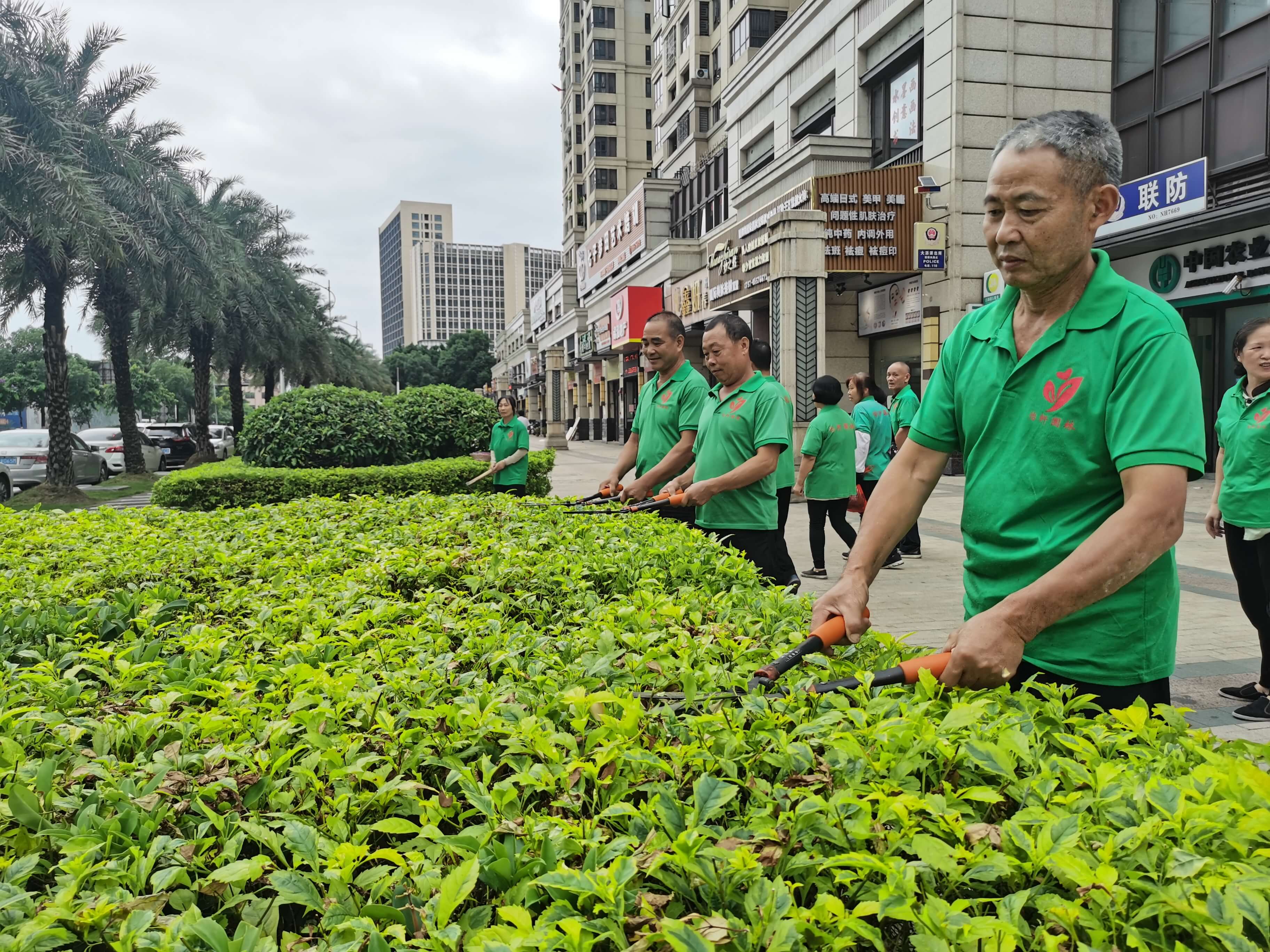 小區(qū)綠化養(yǎng)護