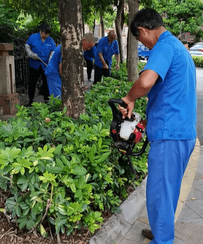 小區(qū)綠化養(yǎng)護日常修剪