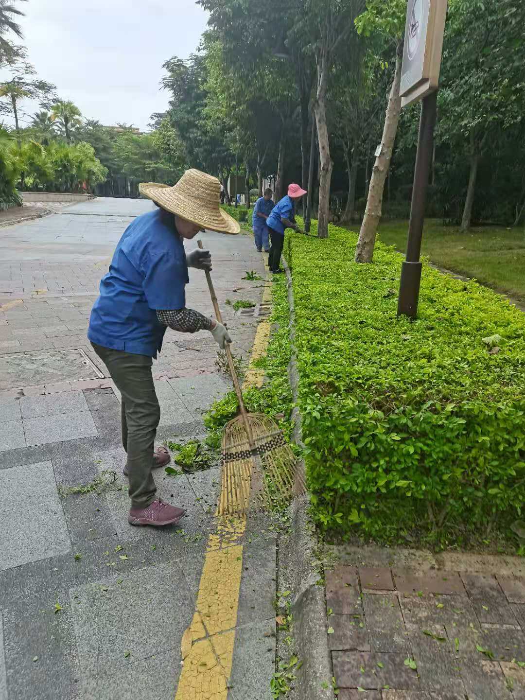 小區(qū)綠化養(yǎng)護(hù)清理落葉