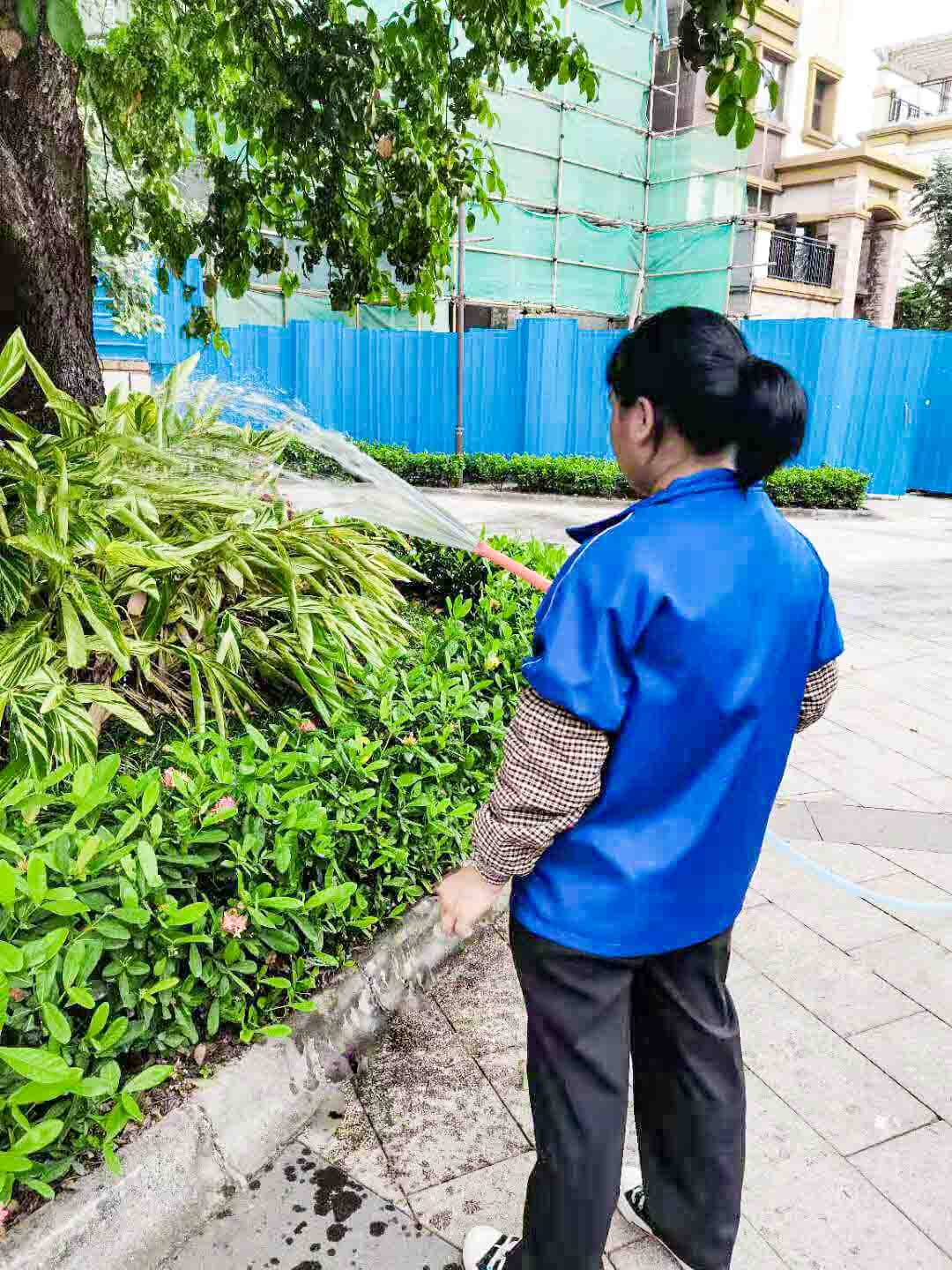 小區(qū)綠化養(yǎng)護(hù)