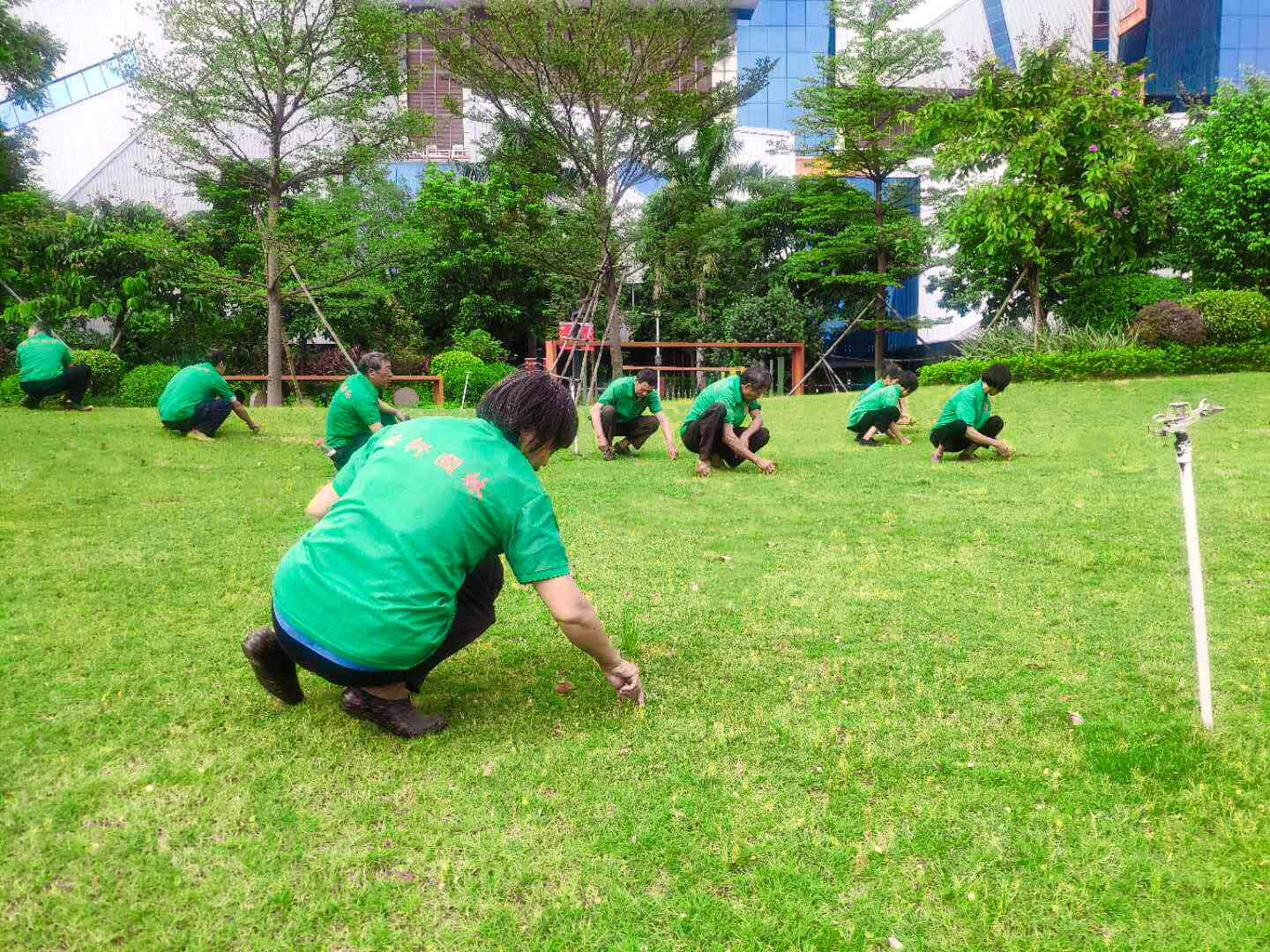 綠化養(yǎng)護