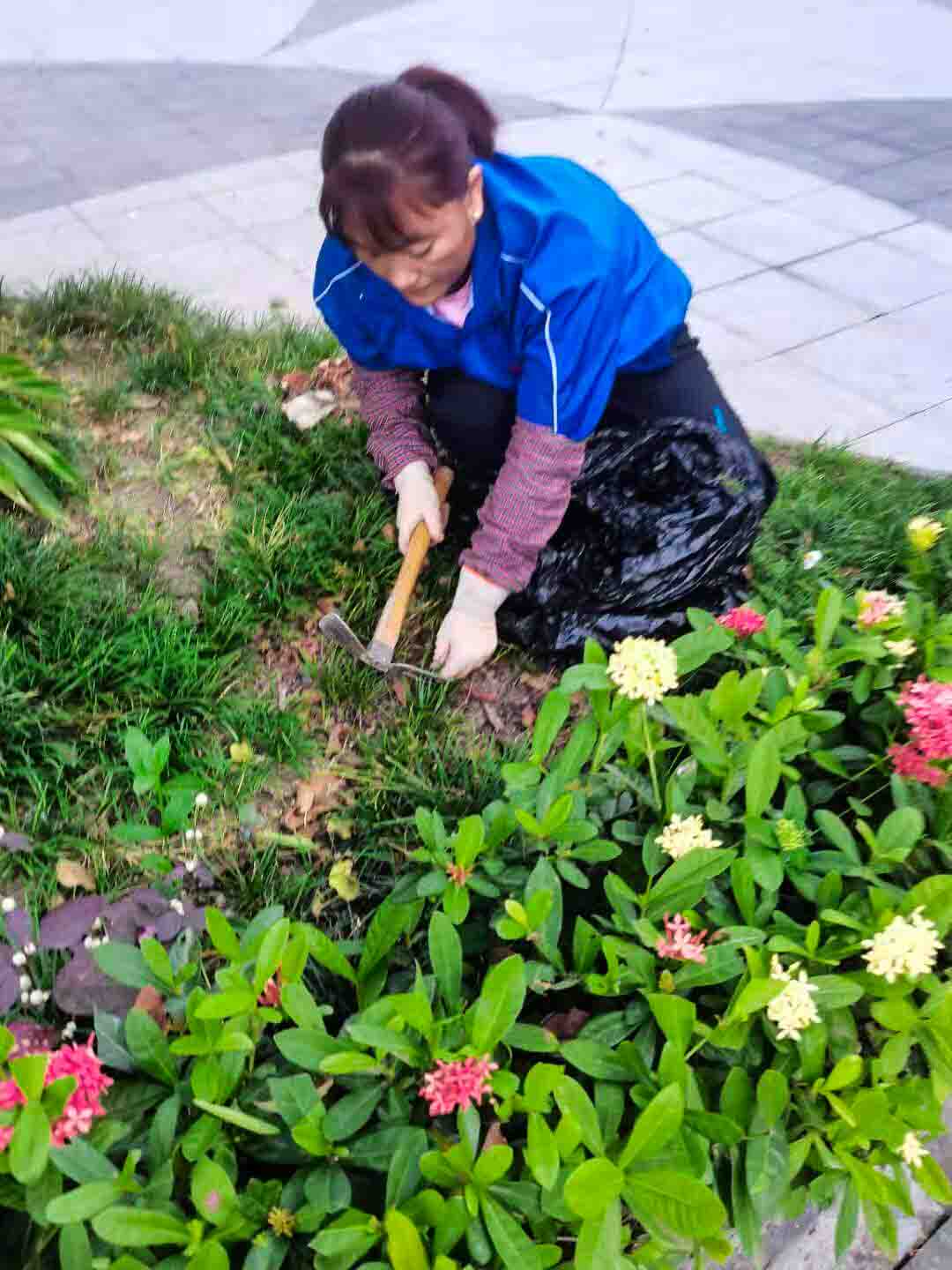 小區(qū)綠化養(yǎng)護(hù)