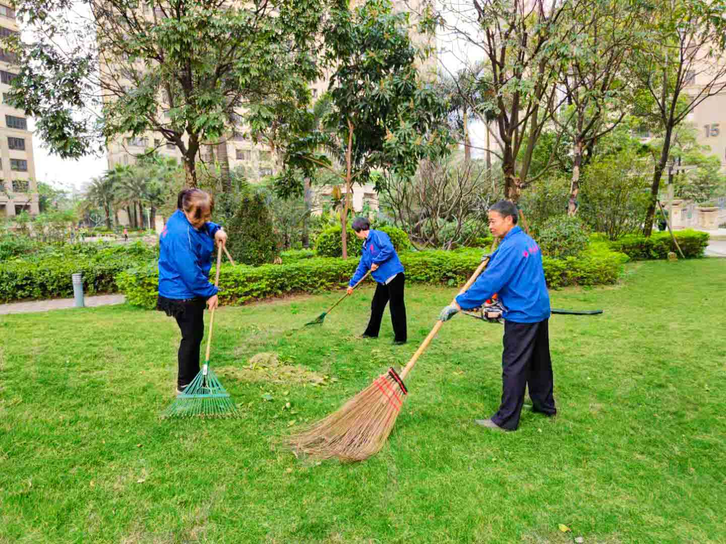 佛山園林綠化養(yǎng)護、佛山園林綠化養(yǎng)護公司、園林綠化養(yǎng)護