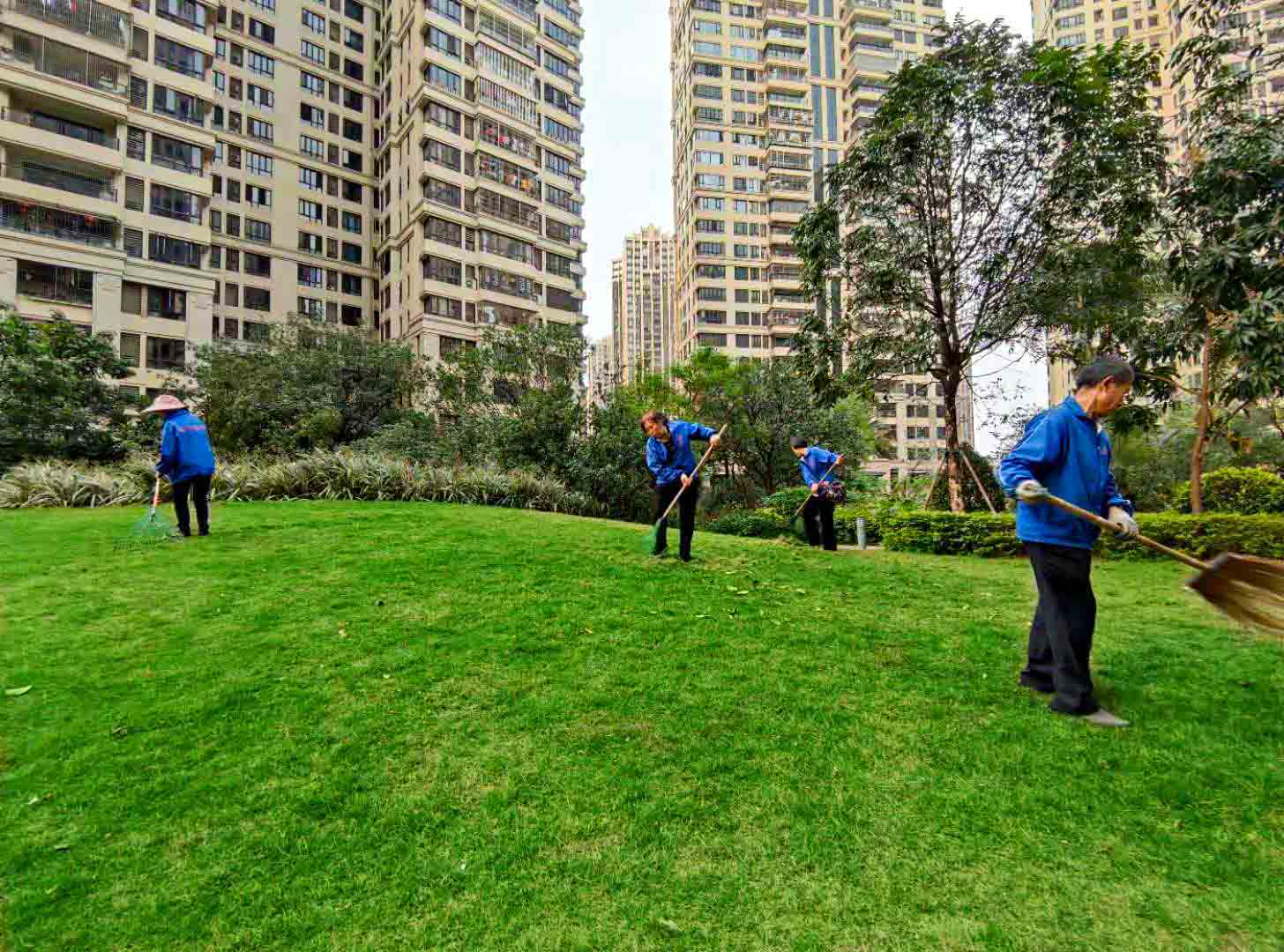 廣州園林綠化養(yǎng)護，廣州園林綠化養(yǎng)護公司，園林綠化養(yǎng)護