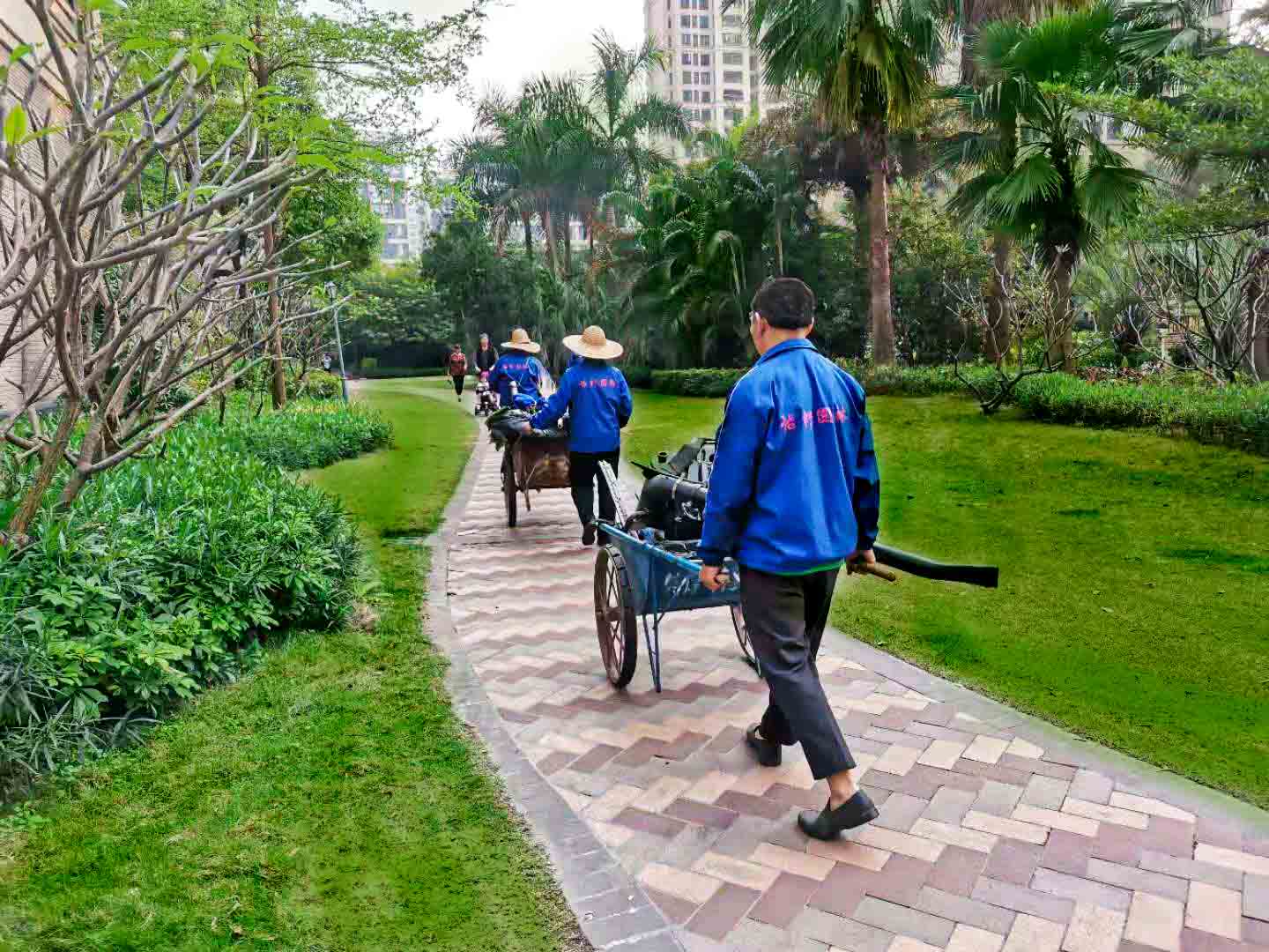 園林綠化養(yǎng)護(hù)