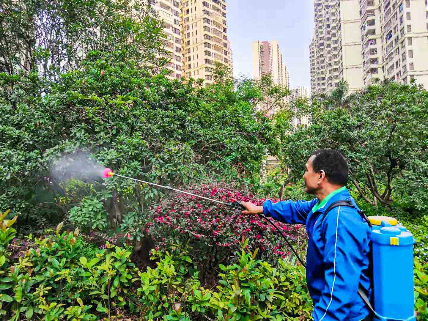 園林綠化養(yǎng)護(hù),除草劑