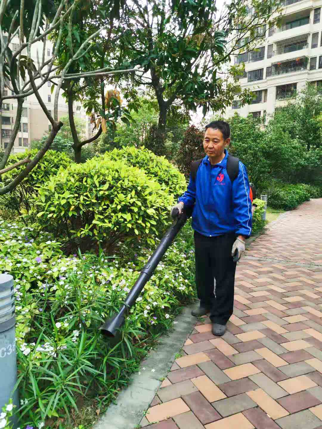 佛山園林綠化公司,綠化養(yǎng)護