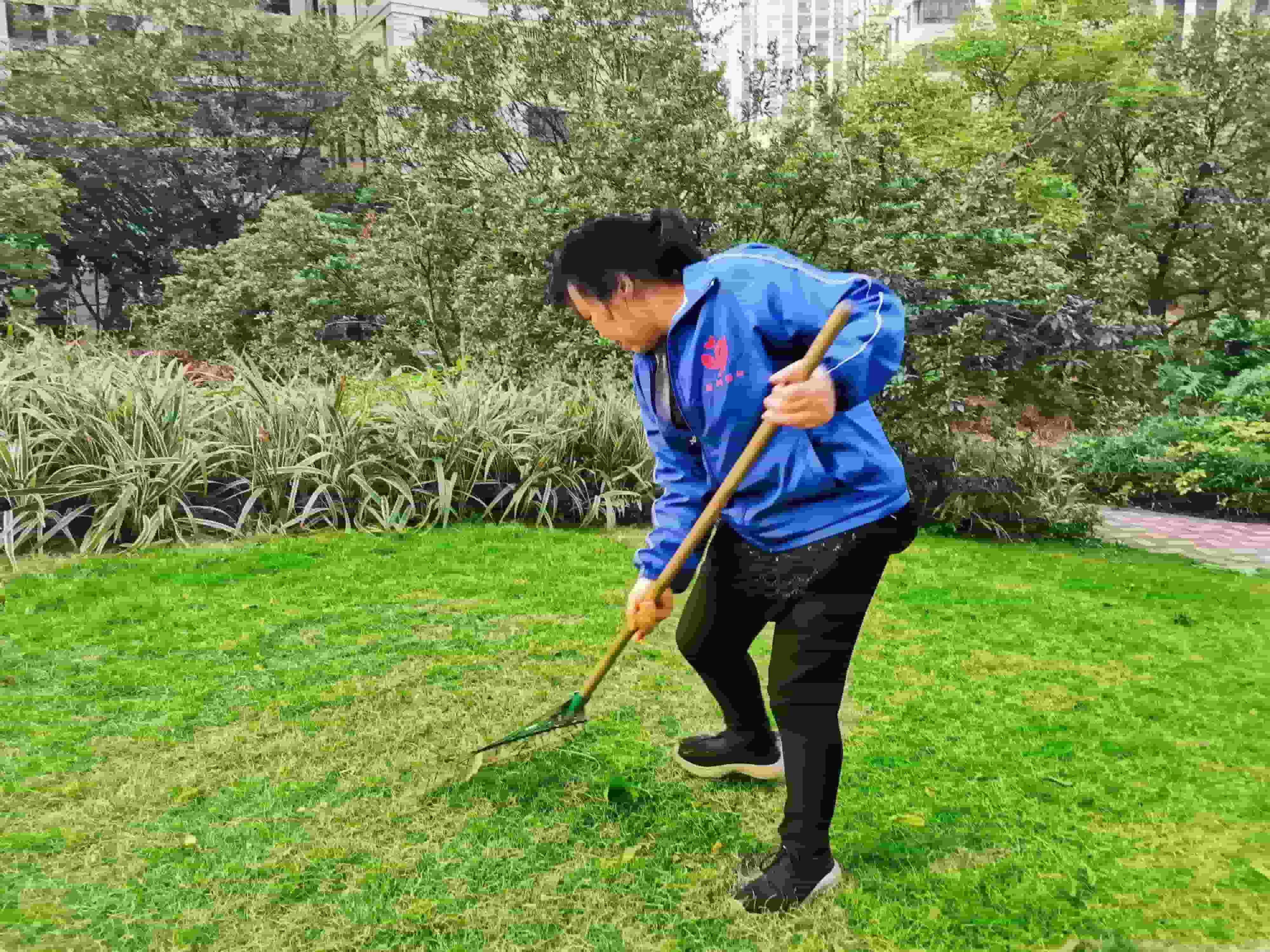 綠化養(yǎng)護(hù)