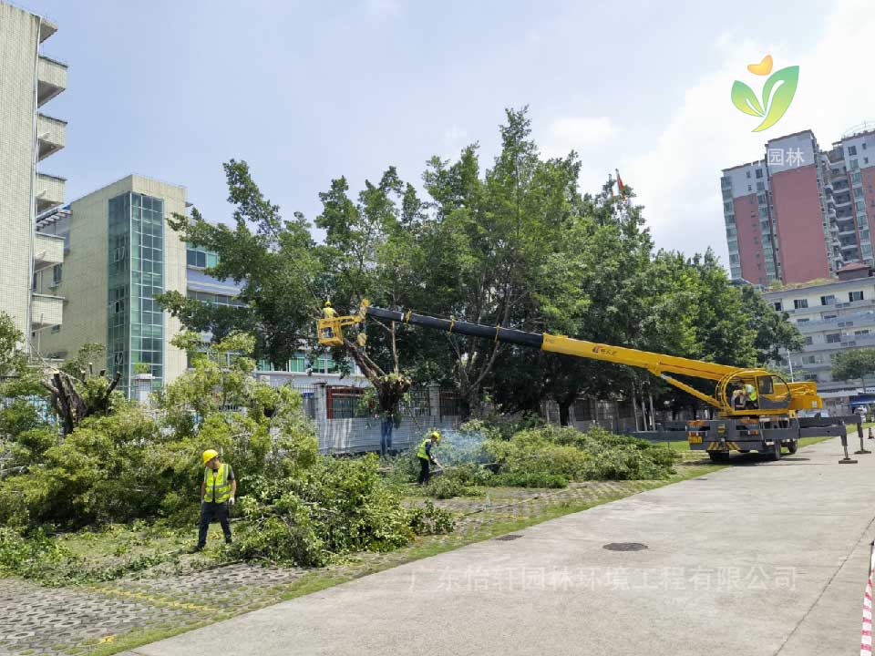 綠化工程，園林綠化公司