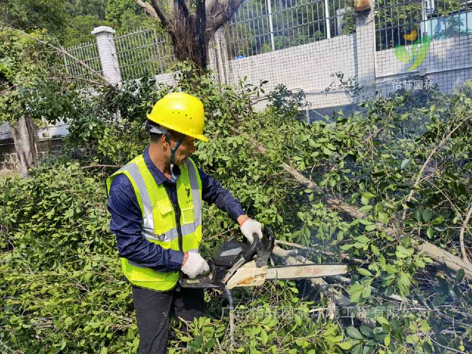 綠化工程，園林綠化公司