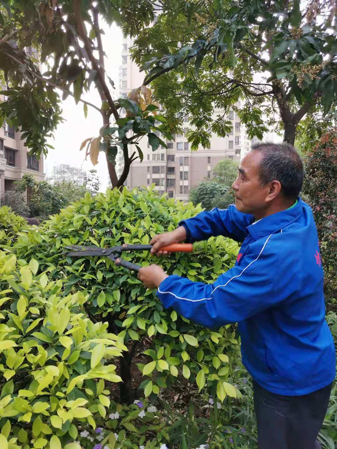 景觀工程