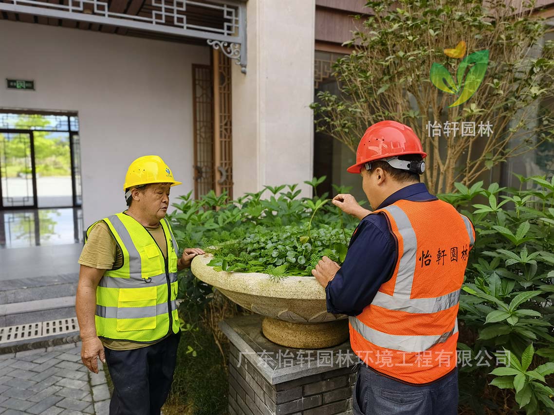 綠化養(yǎng)護