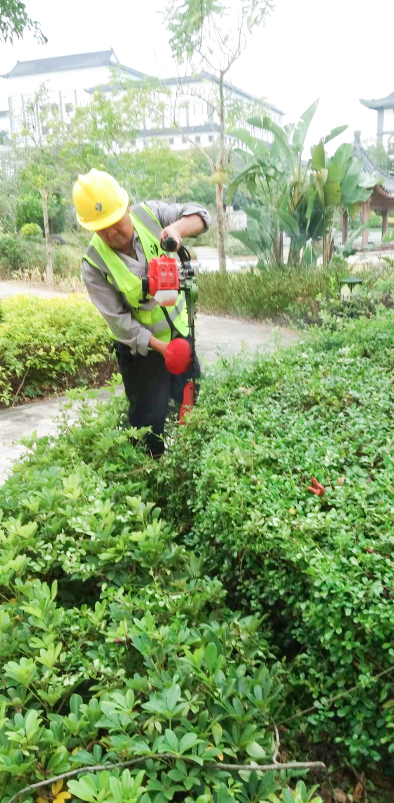 園林綠化