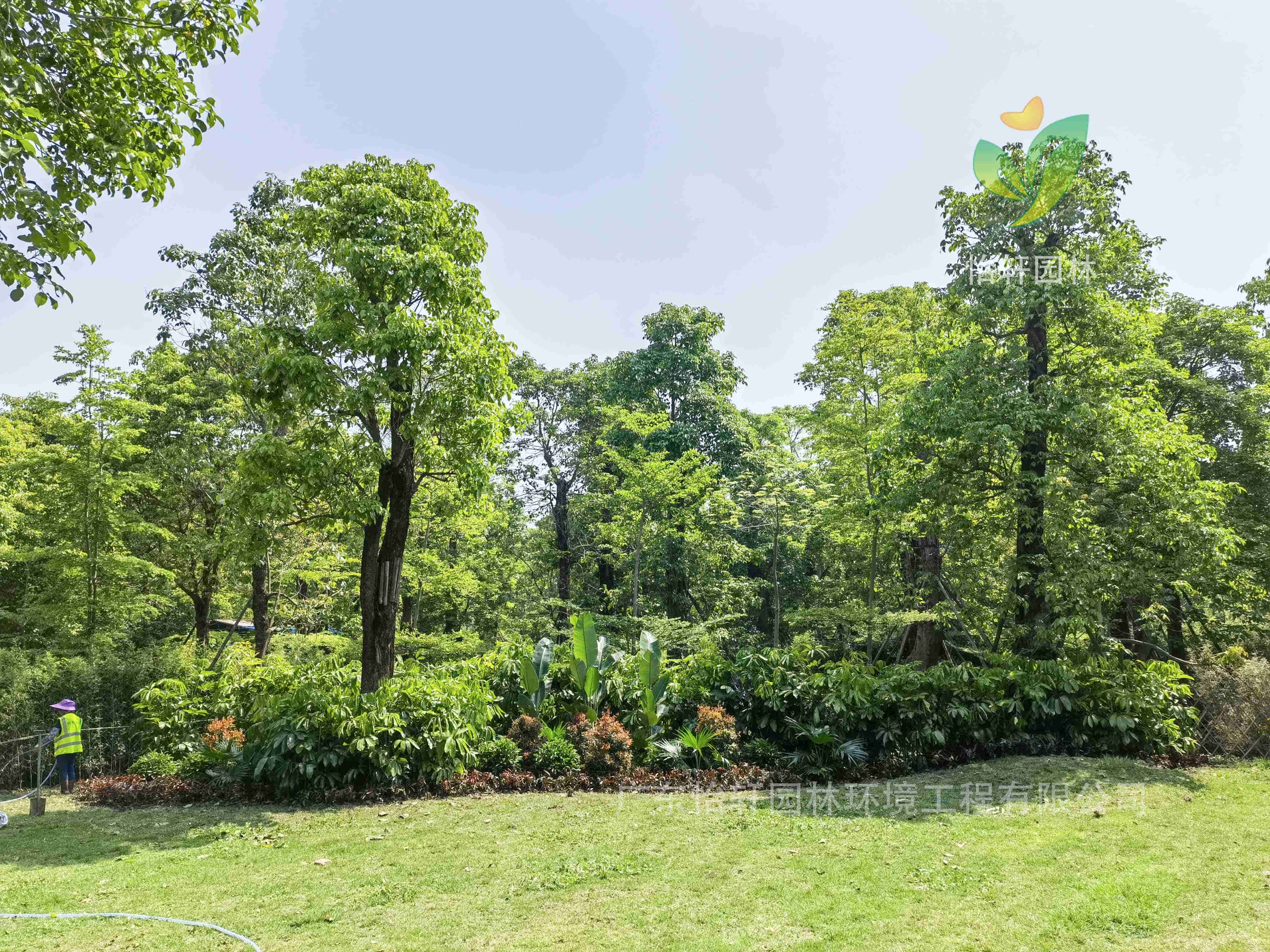 景觀設(shè)計(jì),屋頂花園