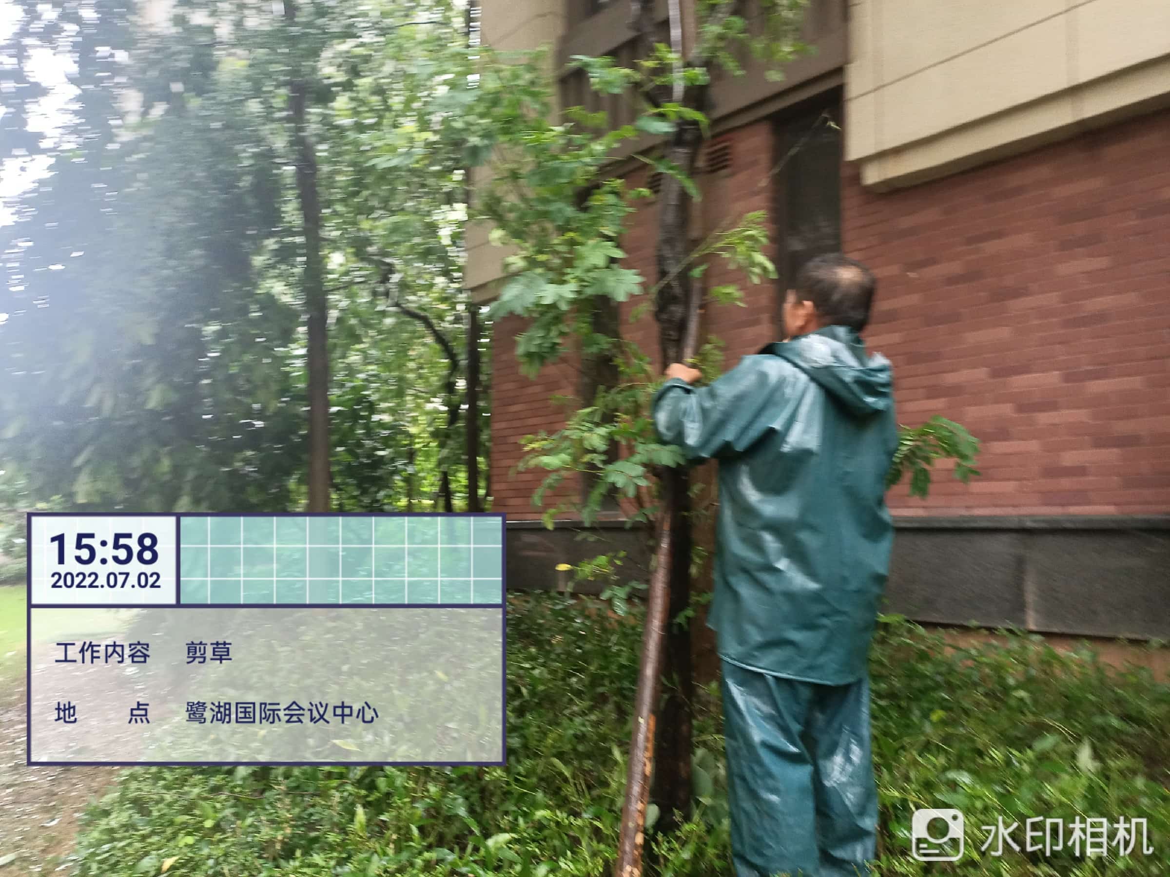 園林綠化公司,綠化養(yǎng)護,園林綠化