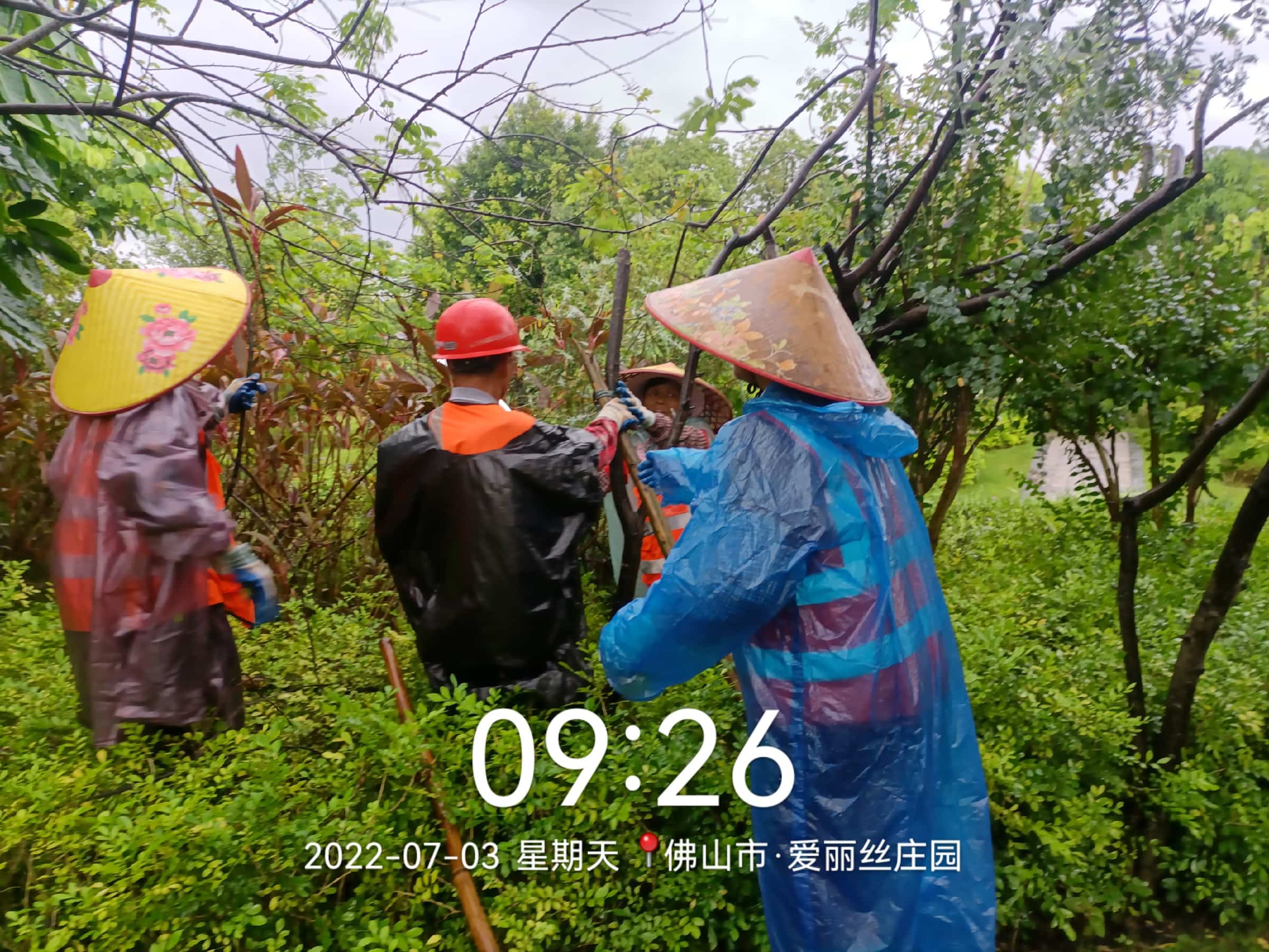 園林綠化公司,綠化養(yǎng)護,園林綠化