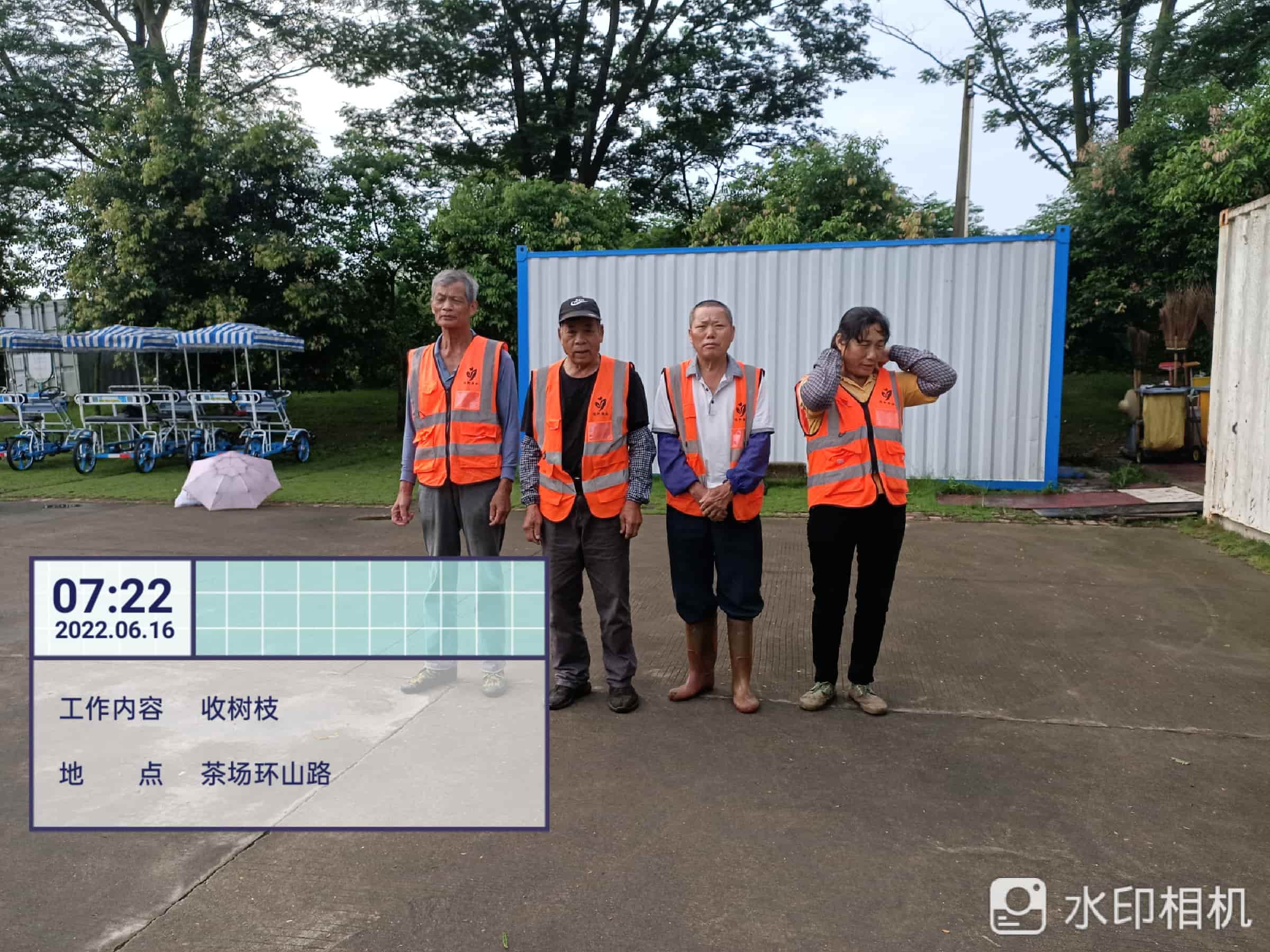 園林綠化養(yǎng)護(hù),美的鷺湖