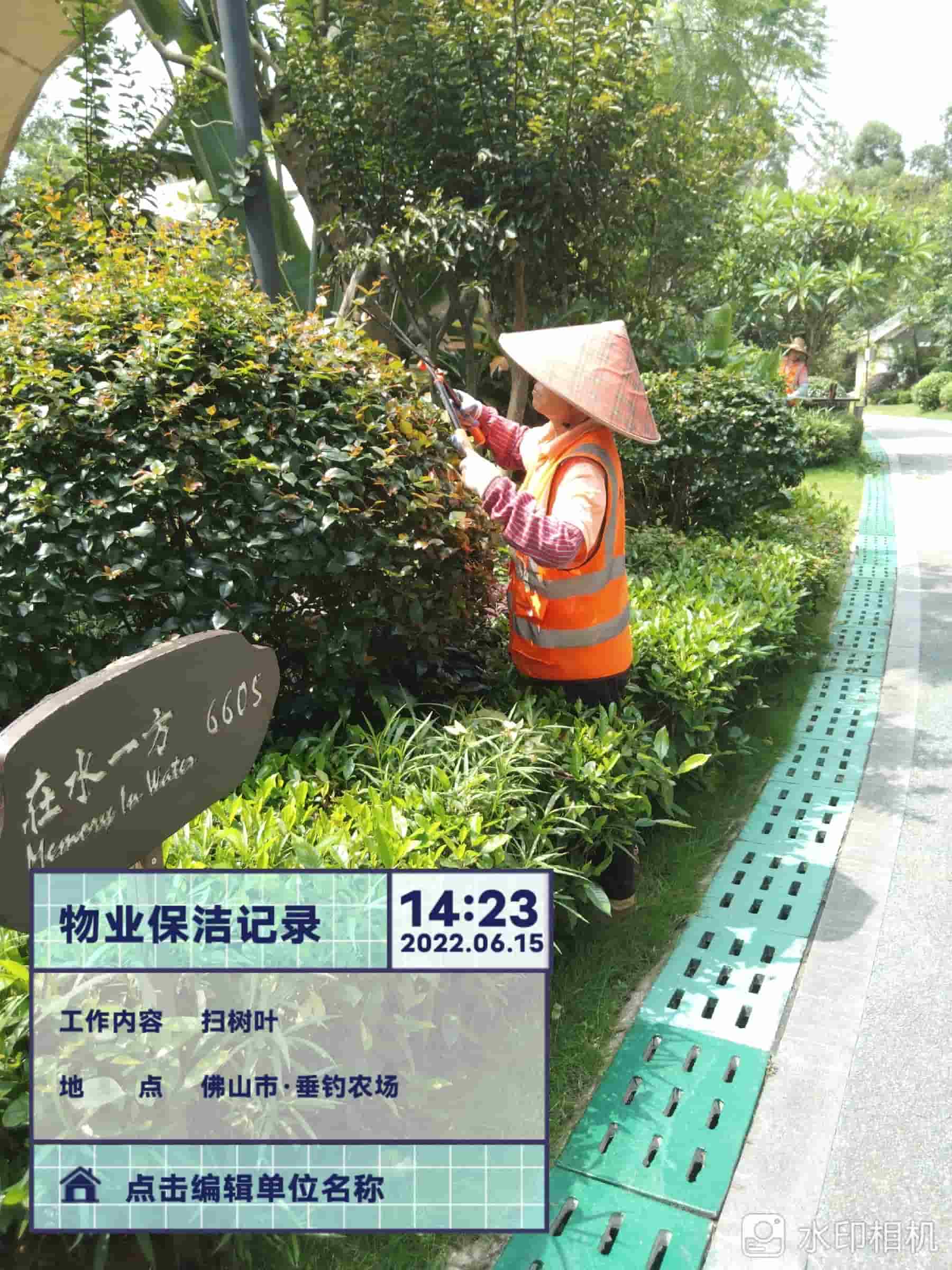 綠化養(yǎng)護(hù),美的露湖
