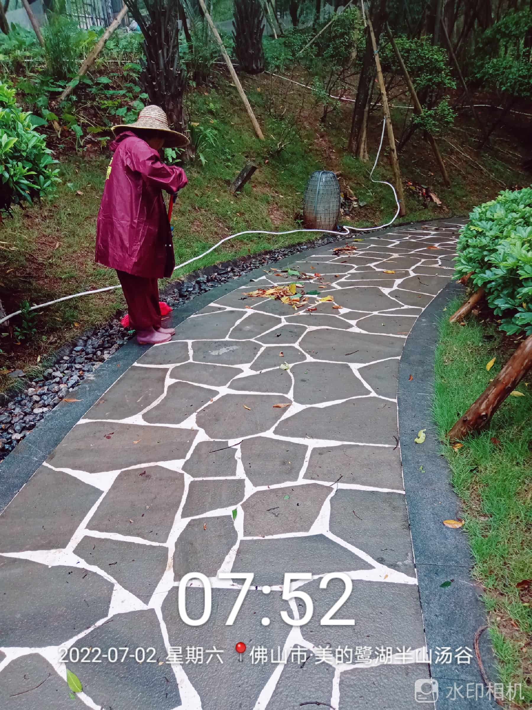 園林綠化公司,綠化養(yǎng)護,枸杞