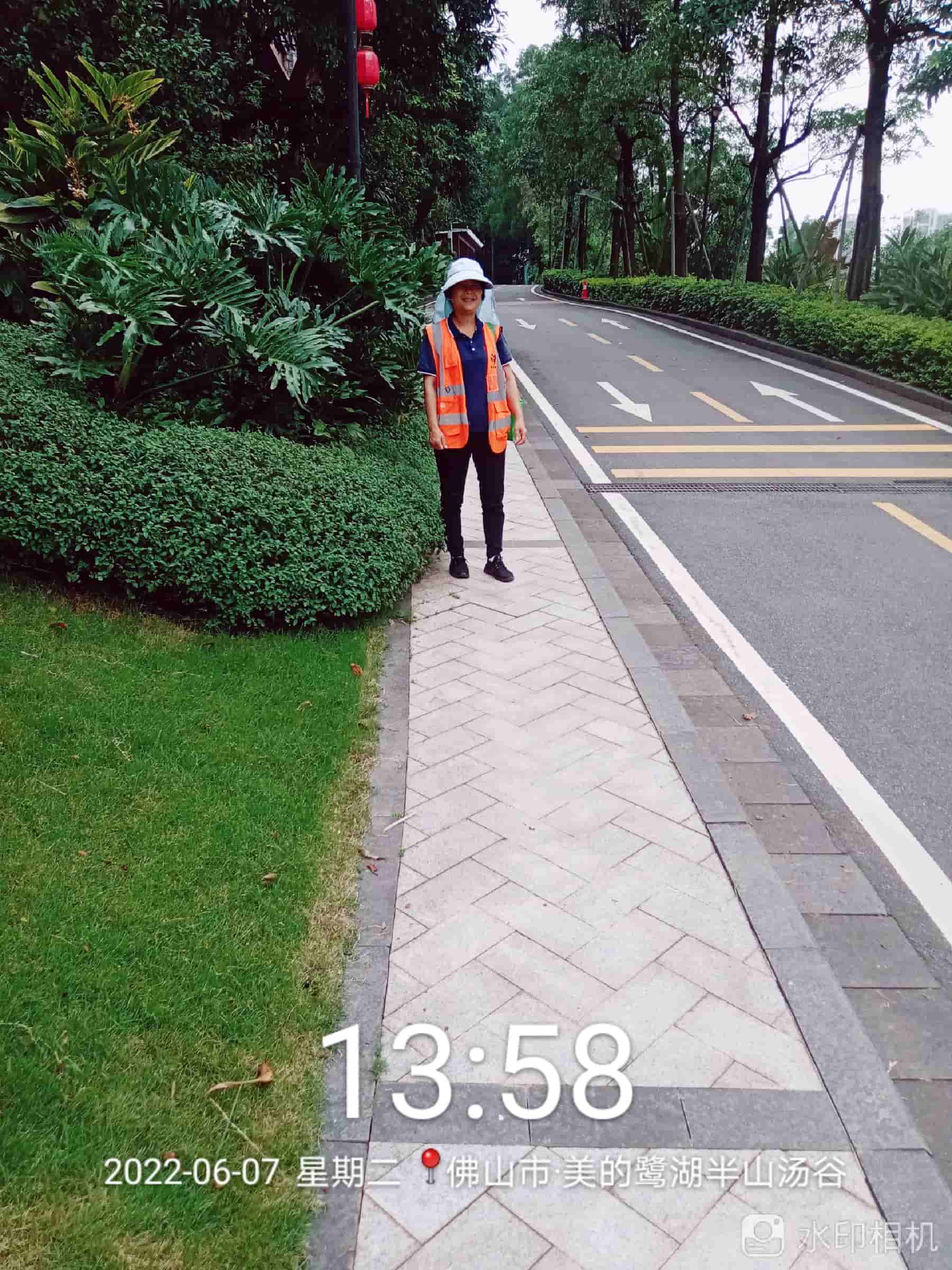 佛山綠化公司,苗木