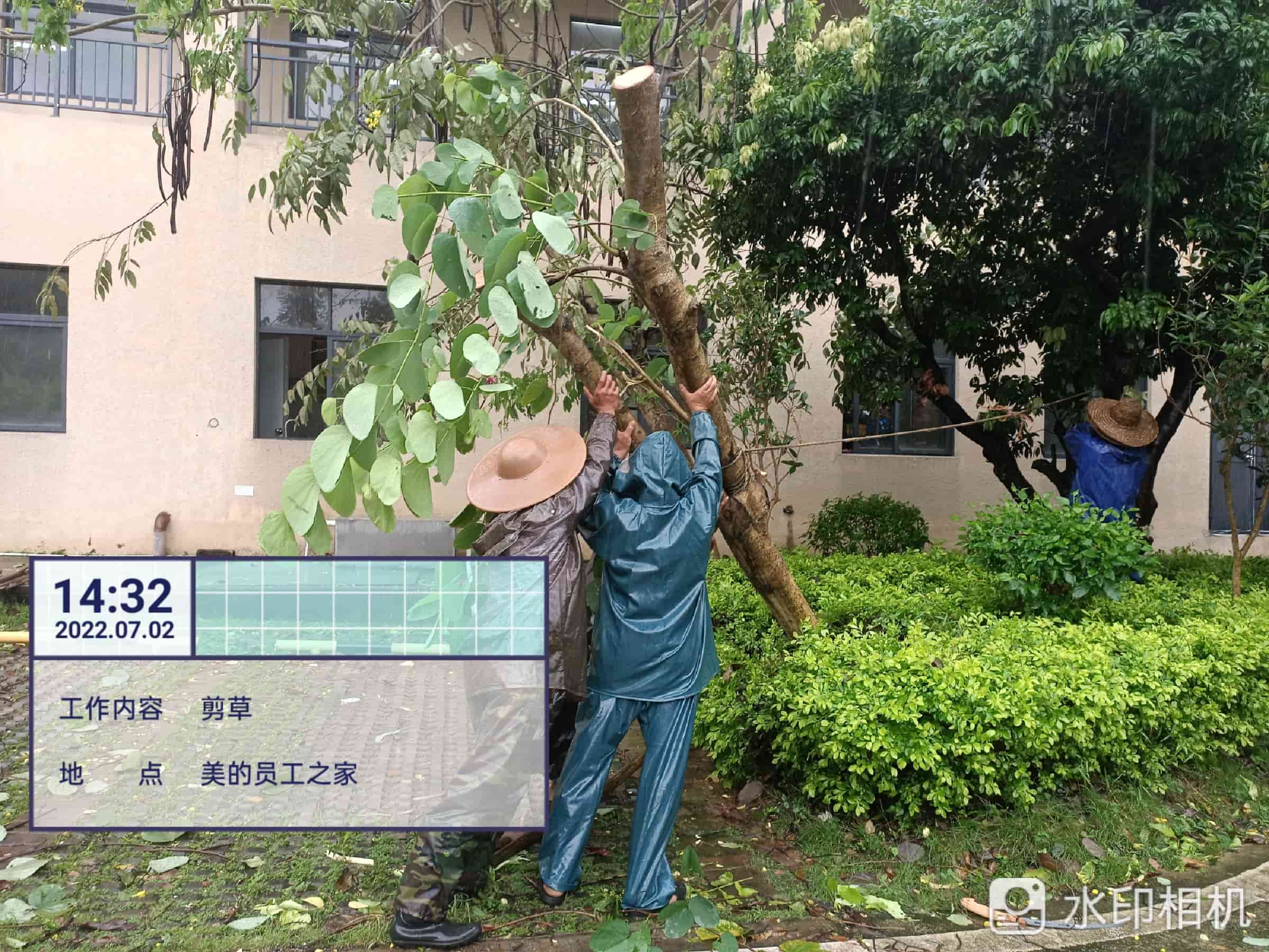 綠化養(yǎng)護