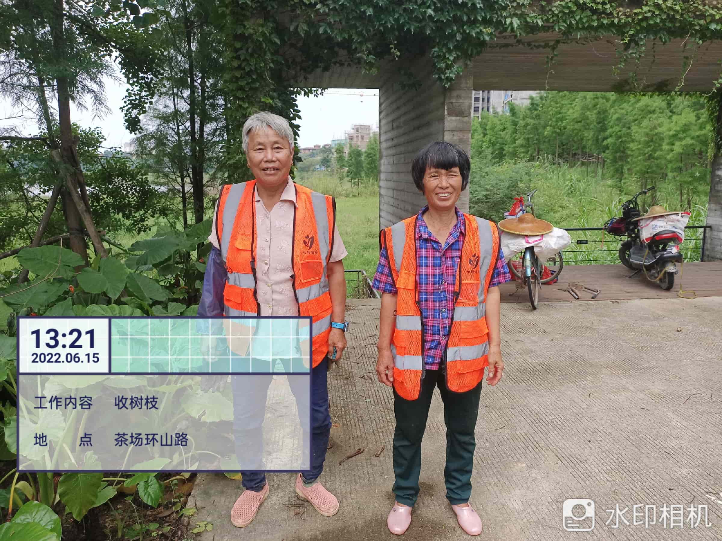 綠化養(yǎng)護(hù) 綠化養(yǎng)護(hù)
