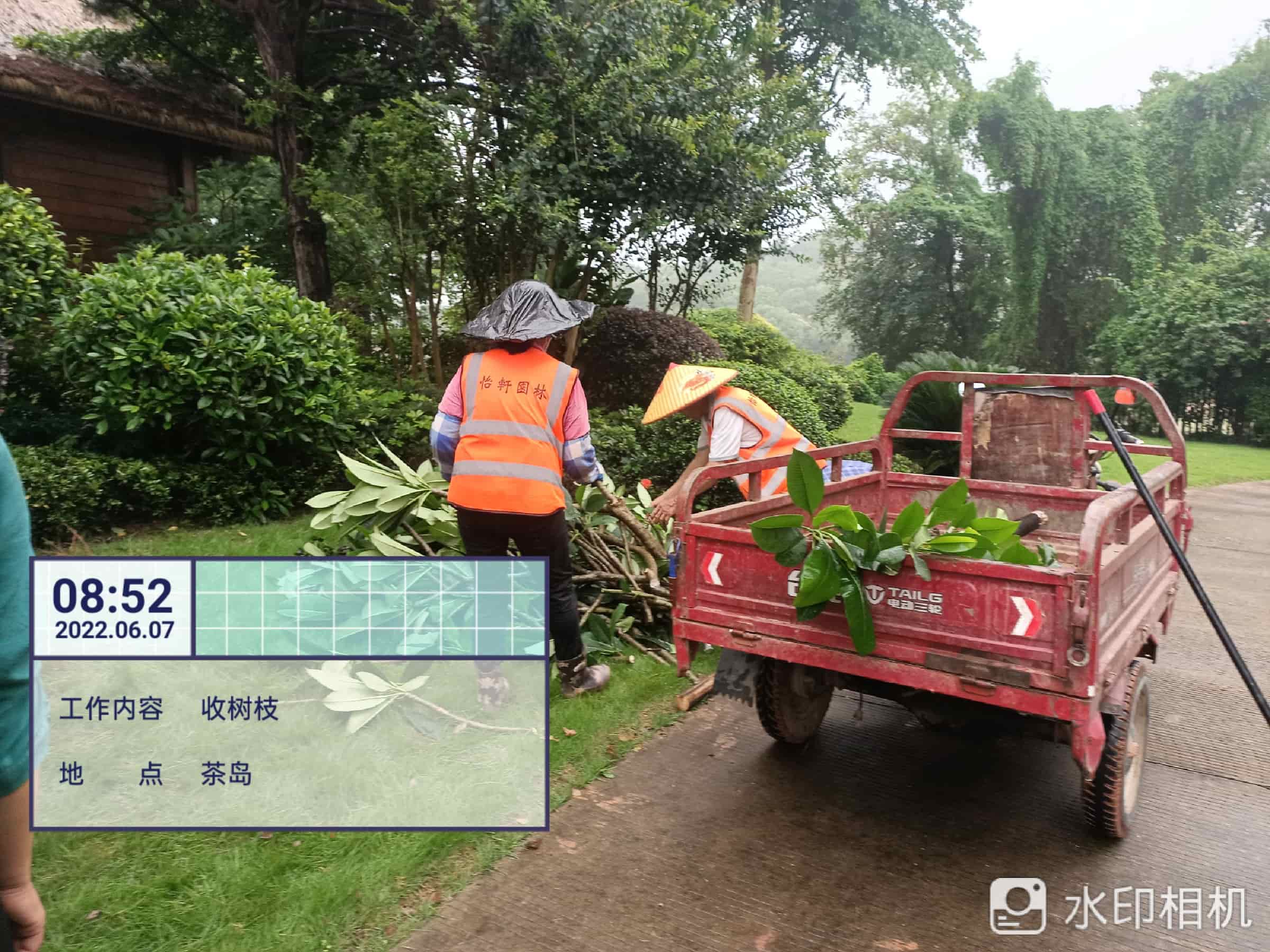 綠化養(yǎng)護