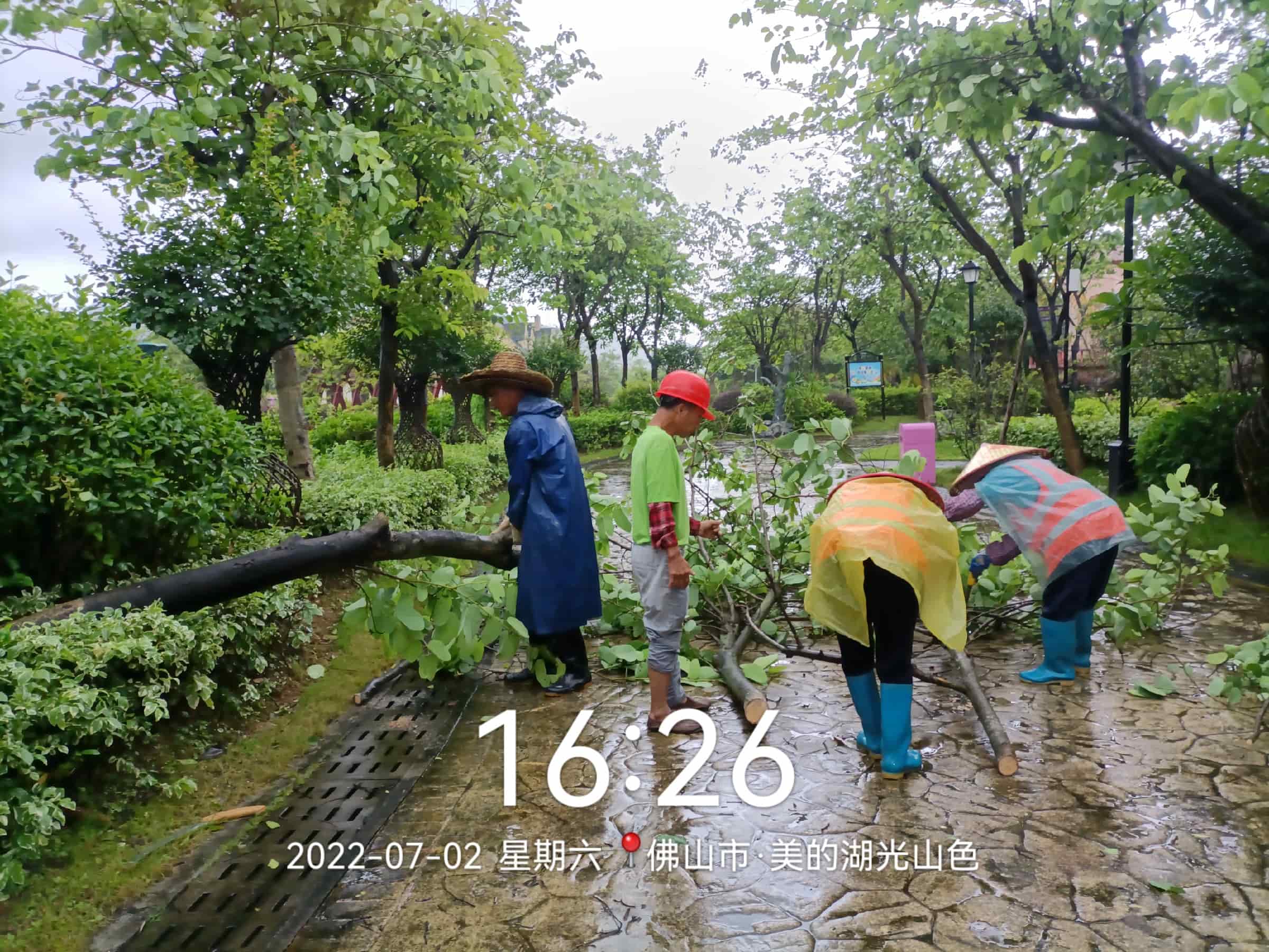 綠化養(yǎng)護