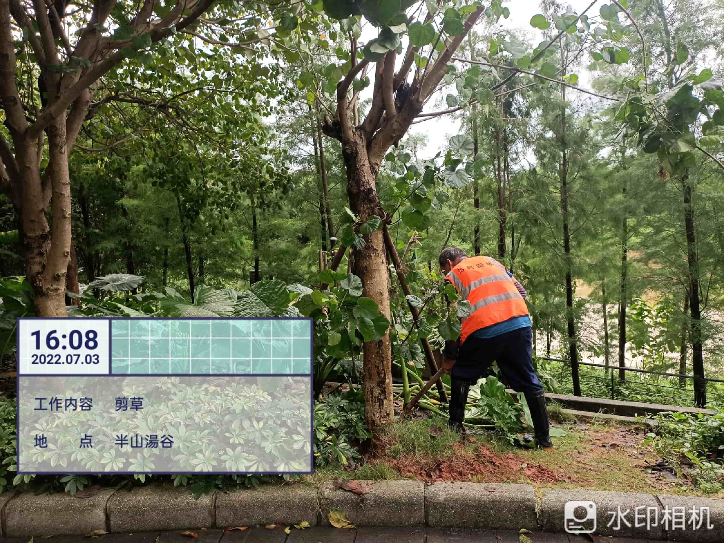 綠化養(yǎng)護,園林綠化