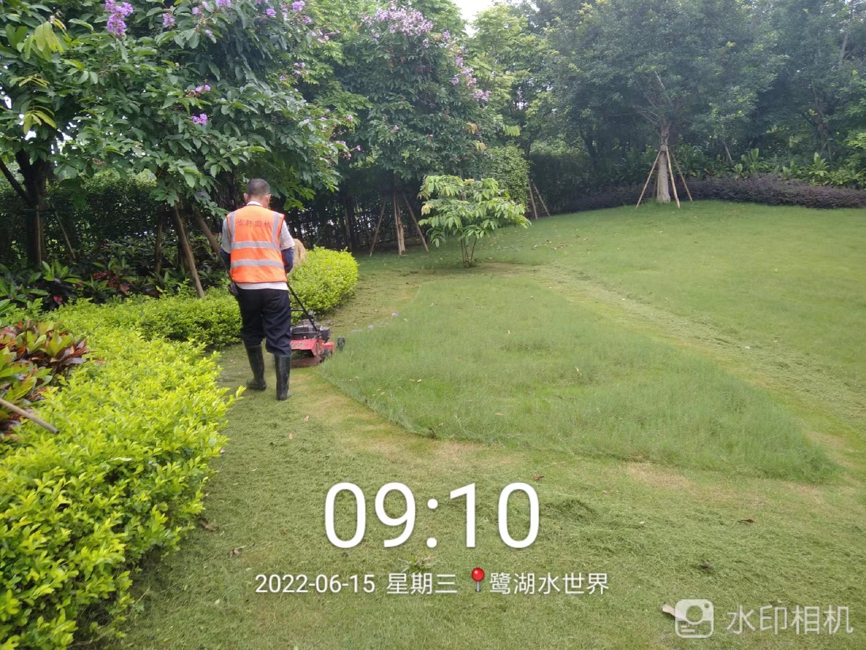 綠化養(yǎng)護(hù)