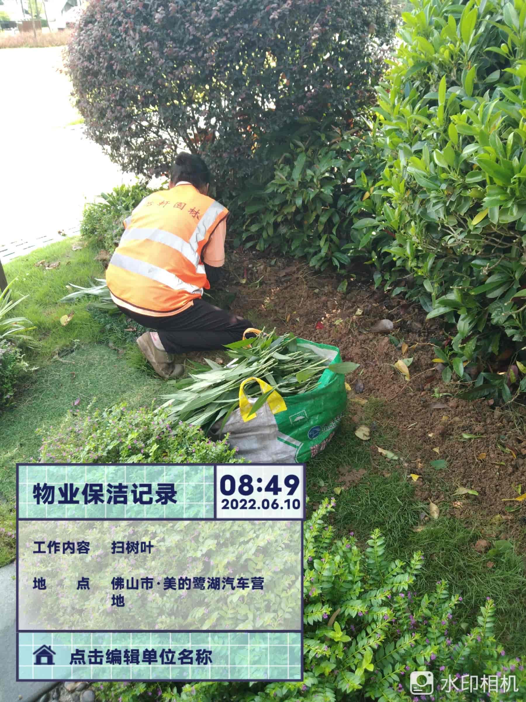 綠化養(yǎng)護