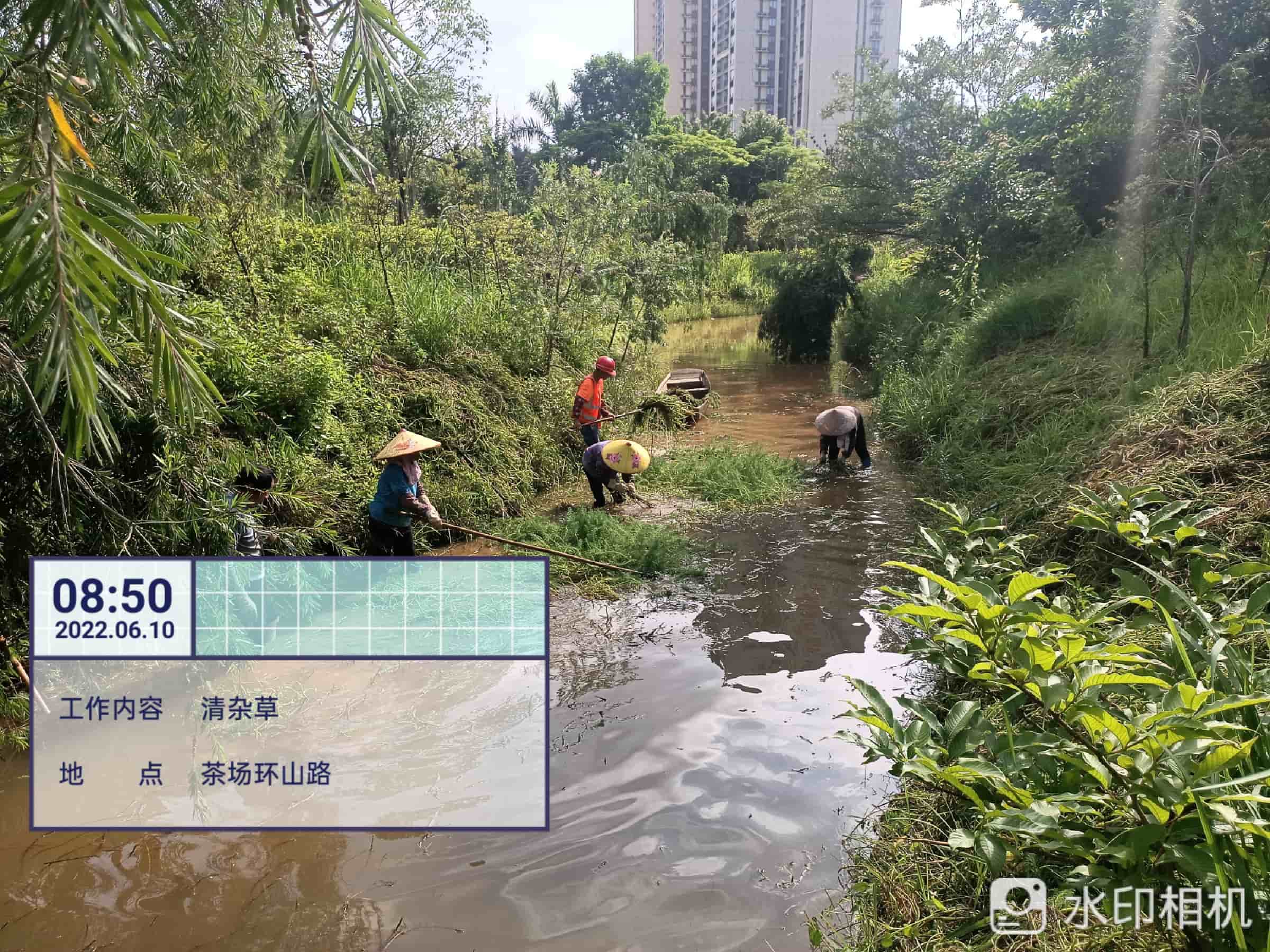 綠化養(yǎng)護(hù)