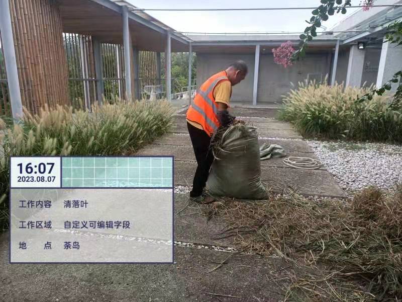 綠化養(yǎng)護