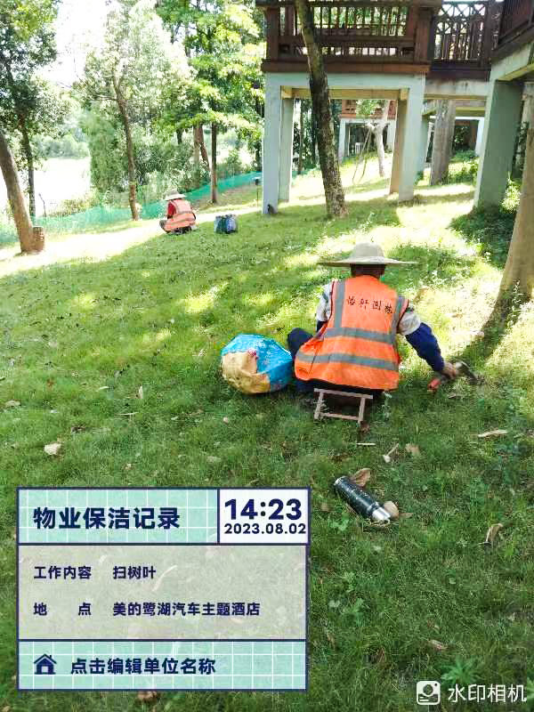 波斯菊,綠化養(yǎng)護(hù)