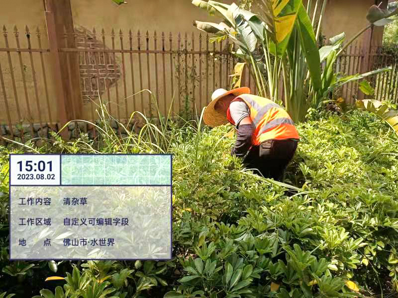綠化養(yǎng)護