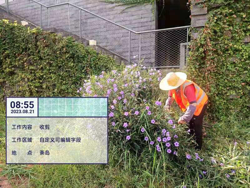 綠化養(yǎng)護